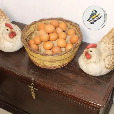 Popis Maison *