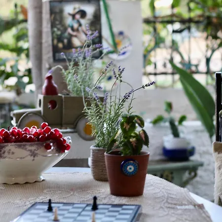 Lejlighed Popis Maison