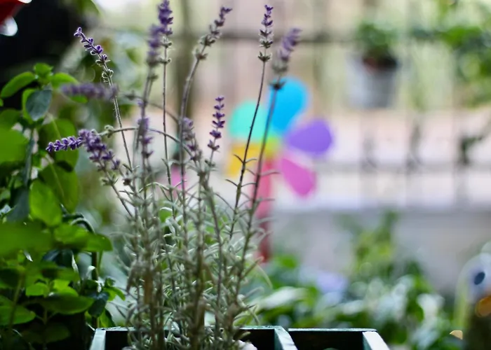 Lejlighed Popis Maison *