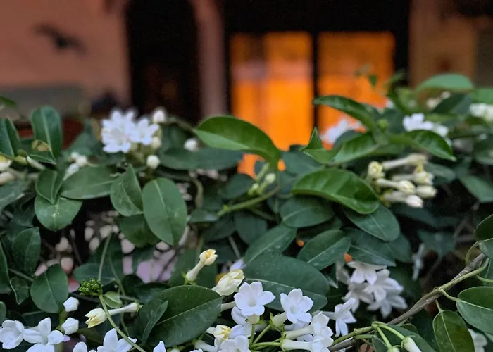 Lejlighed Popis Maison Rhodes City